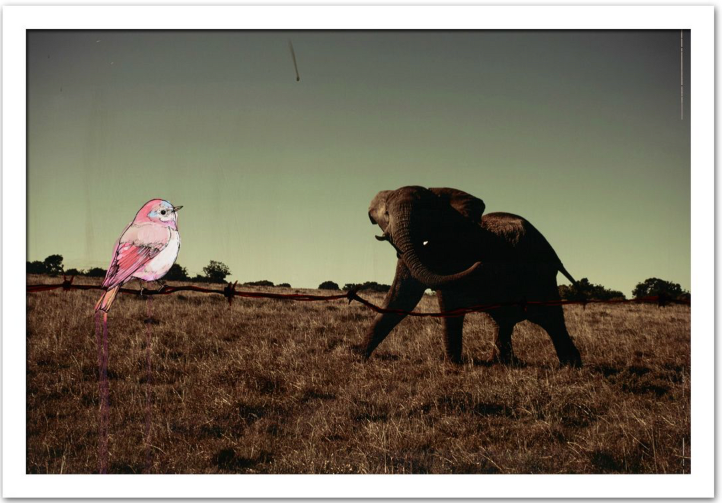 David and Goliath
