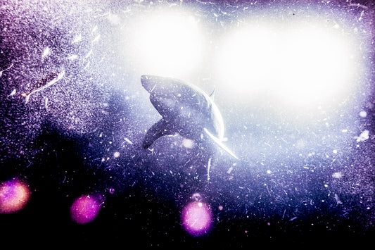 BLACK PEARL II