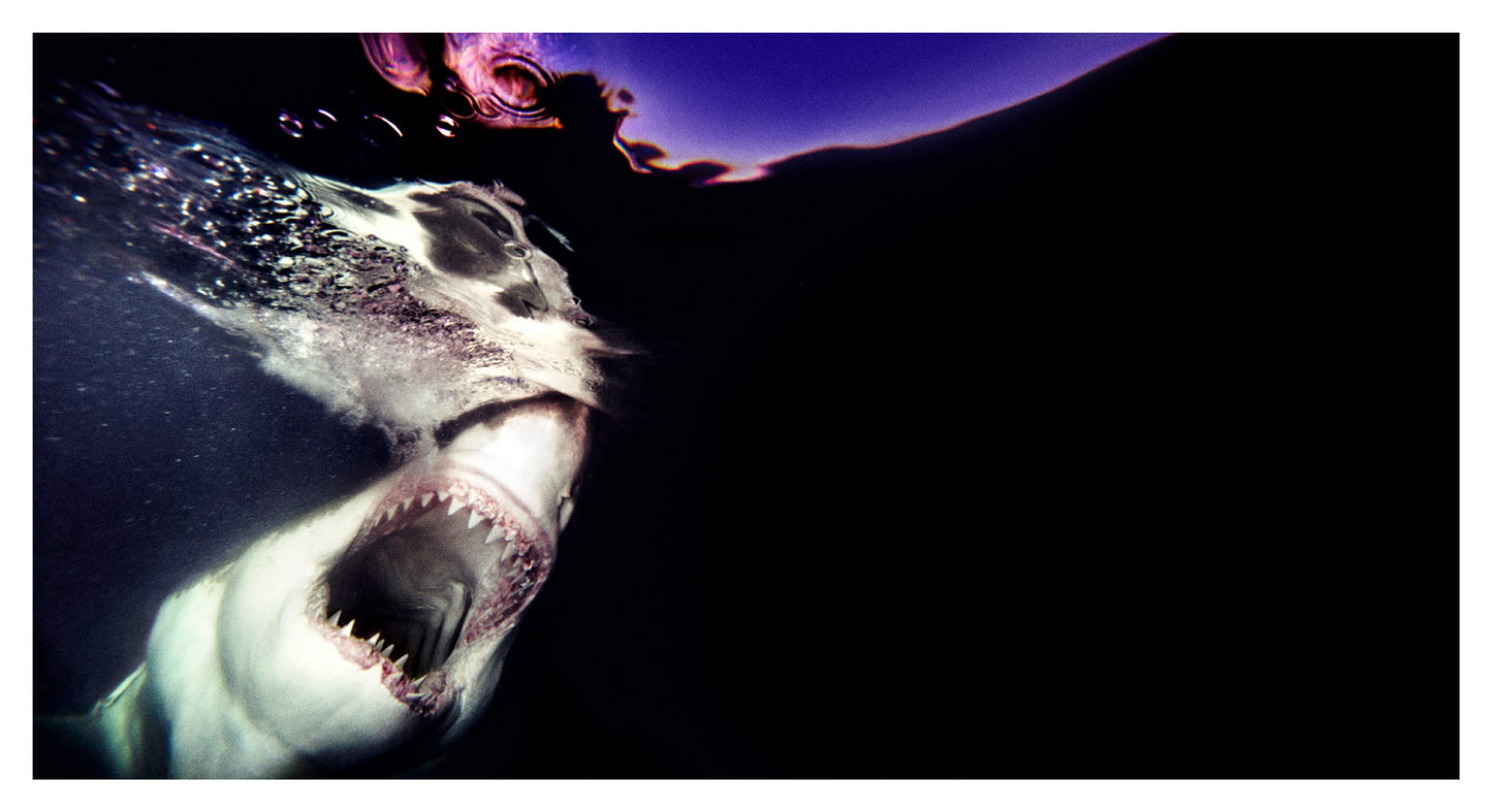 Darkness Rises, 2012