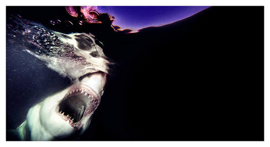 Darkness Rises, 2012