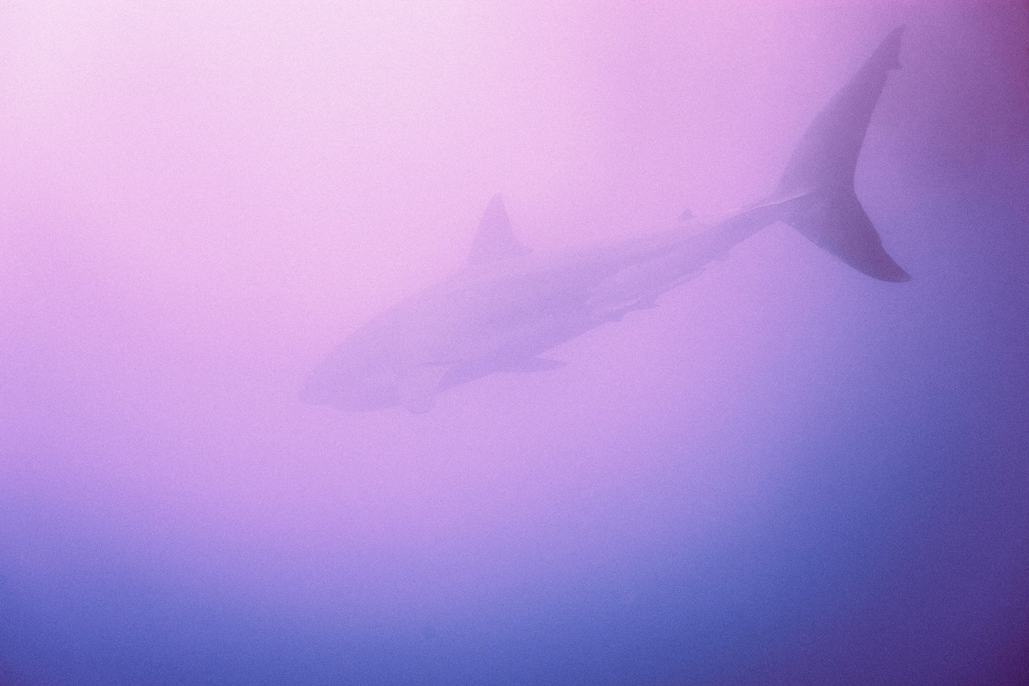 Gone, 2012