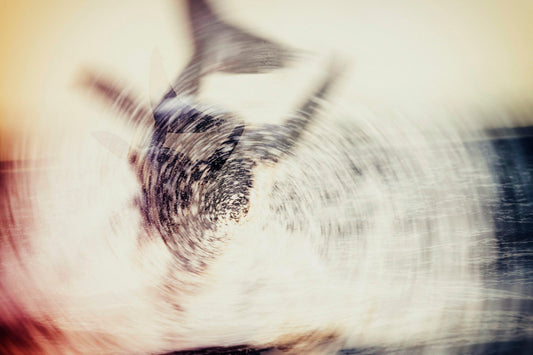 SUSPENDED III