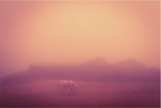 Misty Mountain II