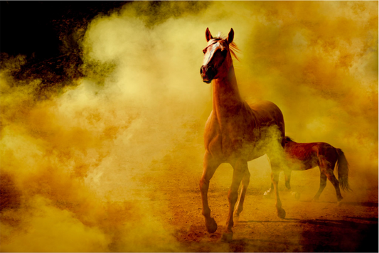 Golden Mare