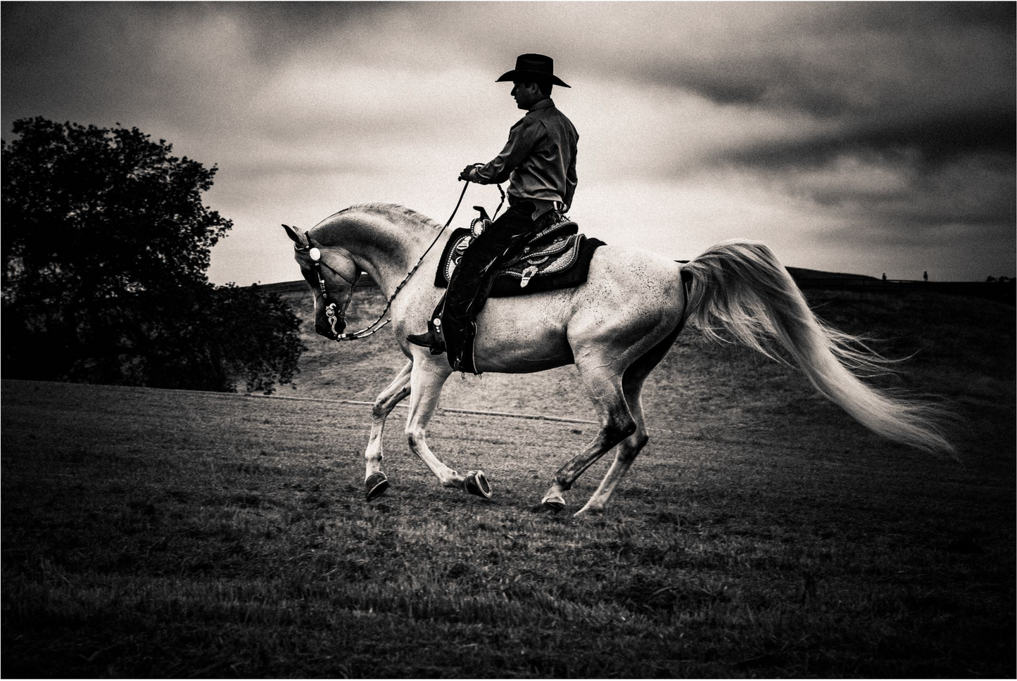 Cowboy Up