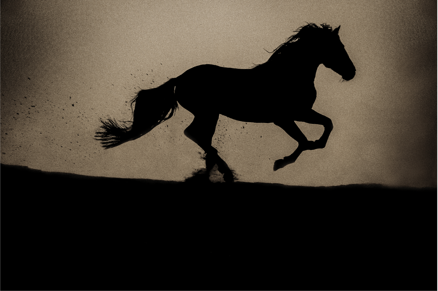 Spirit