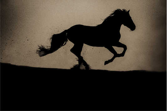Spirit