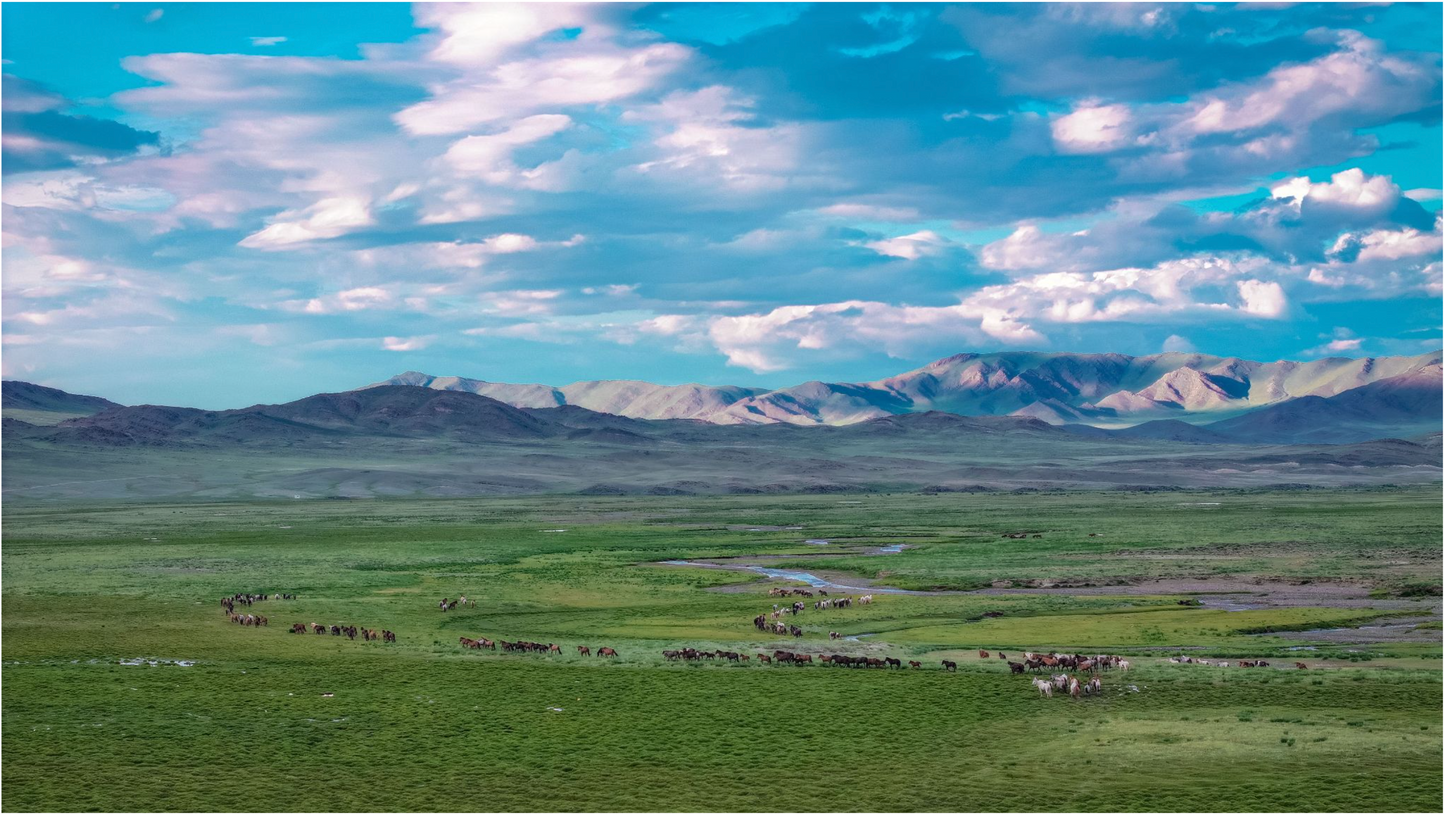 Mongol