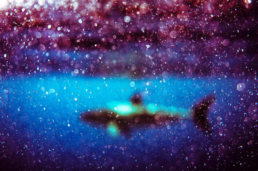 BLACK PEARL VIII